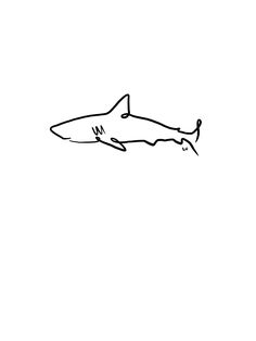 a black and white drawing of a shark