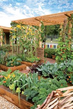 an outdoor garden with lots of plants and flowers