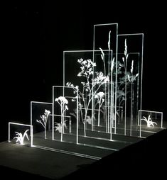 an illuminated display with flowers and plants in glass blocks on a black surface at night