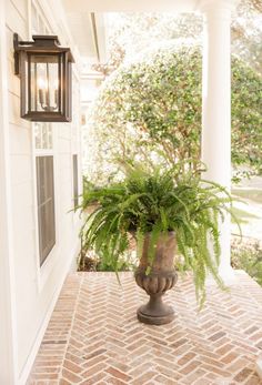 a potted plant sitting on top of a brick walkway next to a white house