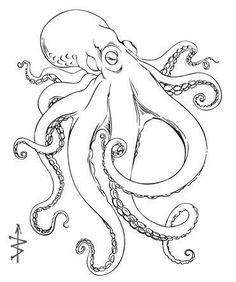 an octopus is drawn in black and white