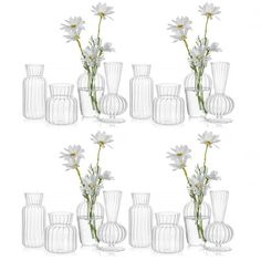 six clear vases with flowers in them on a white background, set of eight