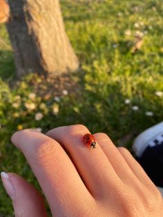 a ladybug sitting on top of her finger next to a person's hand