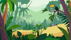 a toucan sitting on a branch in the middle of a jungle filled with trees