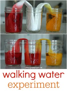 there are four different types of water in jars with the words walking water experiment on them