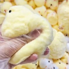 a person holding a stuffed animal in front of some yellow and white candies on the ground