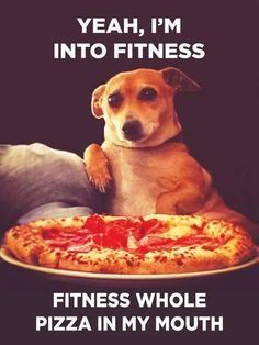 a dog sitting on top of a pizza with the caption yeah, i'm into fitness