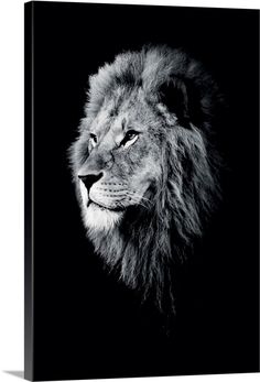 a black and white photo of a lion in the dark