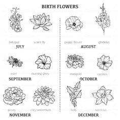 the birth flowers are shown in black and white