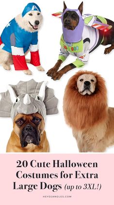 four dogs wearing costumes for extra large dogs up to 3 / 4'l, including one in a costume