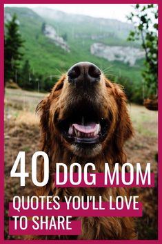 a dog with its mouth open and the words 40 dog mom quotes you'll love to share