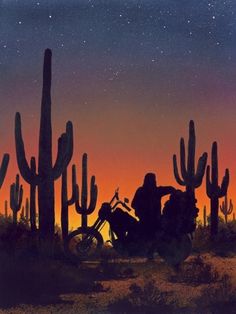 a person sitting on a motorcycle in front of cactus trees at night with the sun setting