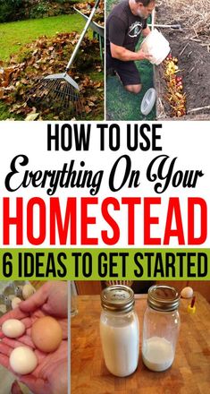 how to use everything on your homestead 6 ideas to get started