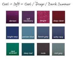 Soft Toned Winter, Toned Winter Color Palette, Shaded Soft Summer, Dark Summer Color Palette, Color Analysis Summer, Shaded Summer, Deep Summer, Cool Summer Palette