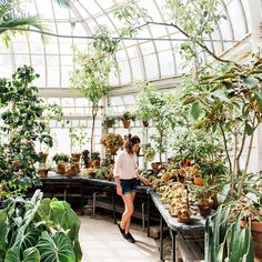 a woman walking through a greenhouse filled with lots of plants