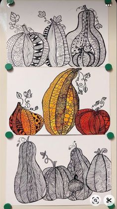 an image of pumpkins and gourds drawn on paper