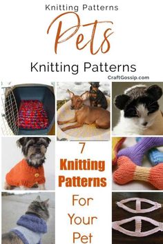 knitting patterns for knitted pet sweaters with text overlay that reads 7 knitting patterns for your pet