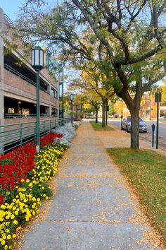 the sidewalk is lined with yellow and red flowers