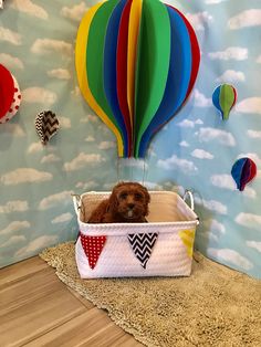 a brown dog sitting in a basket with hot air balloons on the wall behind it