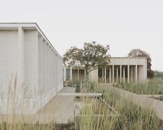 a white building with tall grass in front of it