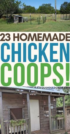 chicken coops with text overlay that reads 23 homemade chicken coops