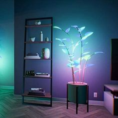 a living room with purple walls and green lights on the wall, while a black shelf holds a plant in front of it