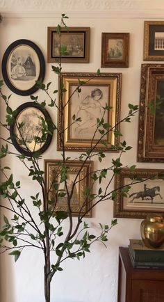 there is a tree in the middle of this room with pictures on the wall behind it