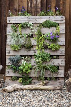 a wooden pallet filled with lots of plants