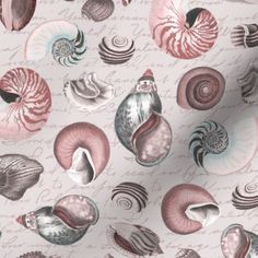 an image of seashells and shells on a white background with pink, blue, red