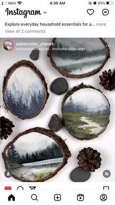 the instagram page is filled with pictures and pineconuts, rocks, and leaves