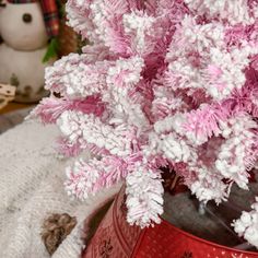 a pink and white plant in a red bucket