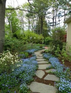 a stone path surrounded by blue and white flowers