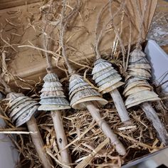 four clamshells are in a box on the floor next to some straw