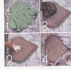 the instructions for how to make a leaf from soil and leaves are shown in pictures