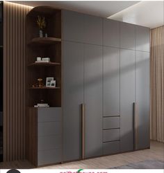 an image of a modern closet in the living room