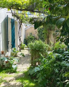 an outdoor garden with lots of green plants and flowers on the side of the building