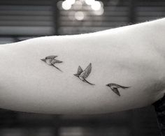 three birds are flying in the air above their head and one is on its arm