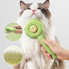 a cat is being groomed with a green brush and hairdryer on it's head