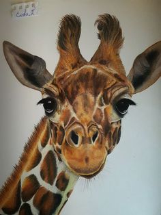 a painting of a giraffe's head with the eyes wide open