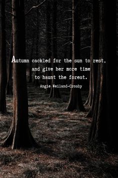 an image of trees in the woods with a quote about autumn cracked for the sun to rest and give her more time to hunt the forest