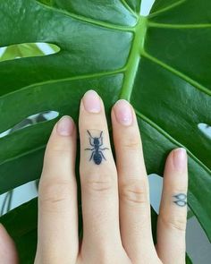 a woman's hand with a small tattoo on her left thumb and a large green leaf behind her