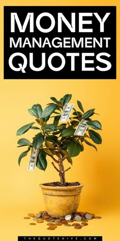 100 Best Money Management Quotes | Motivational Money Quotes for a Better Future