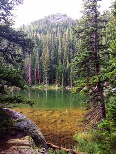 a small lake surrounded by trees and rocks