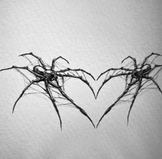 black and white photograph of two spider webs in the shape of heart shaped hands