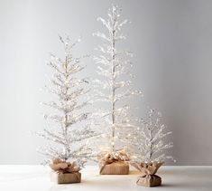 two small white christmas trees with lights on them and bows tied around the branches, sitting next to each other