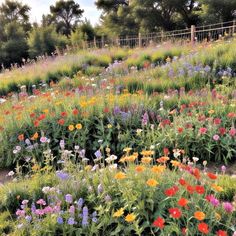 a field full of colorful flowers next to trees