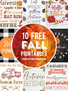 the 10 free fall printables are available for purchase at pumpkin patchers com