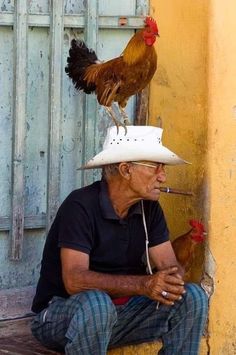 Jamie Johnson, Havana Cuba, Human Race, Body Reference, A Chicken