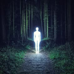 a man standing in the middle of a forest at night with light coming from his head