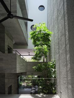 the ceiling fan is hanging from the ceiling in this modern house with concrete walls and floor to ceiling windows